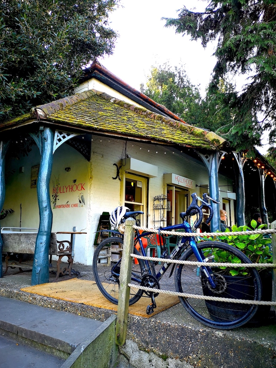 view of the hollyhock cafe veranda