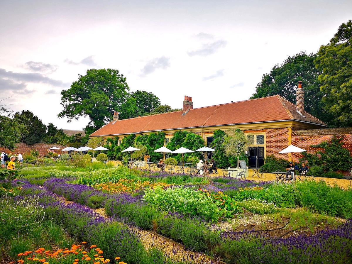 cafe tables and garden outside the orangery cafe